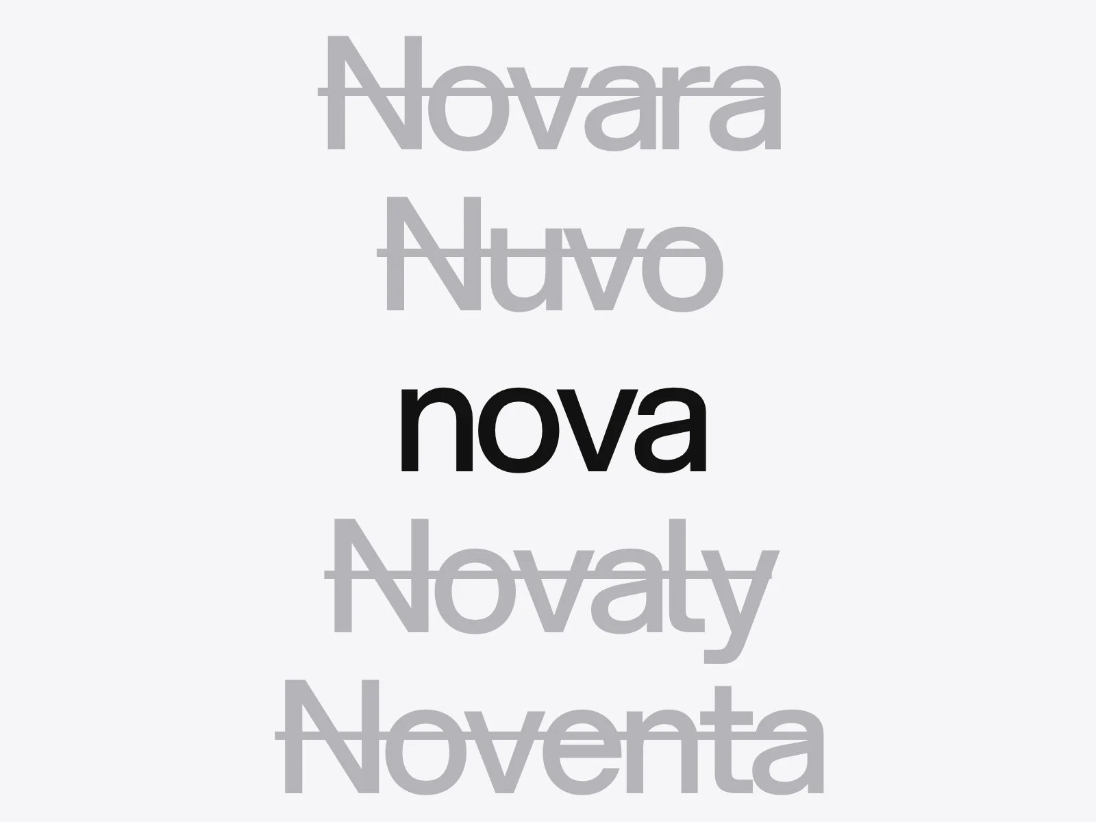 A list of candidate names with most of them struck through and one, nova, left standing